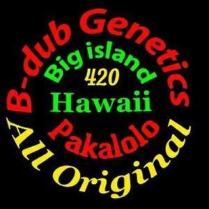 B Dub Genetics Logo 300x300 1