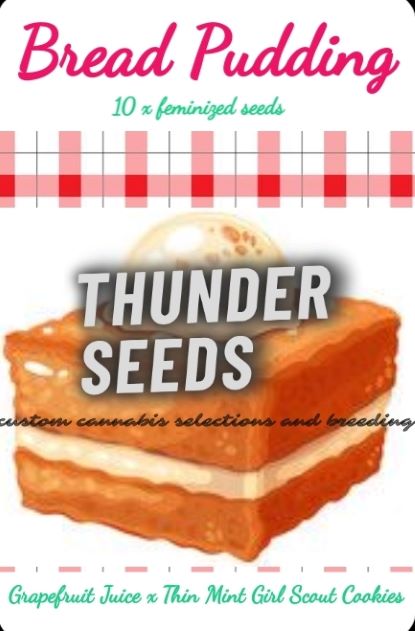 Bread Pudding Art thunder seeds