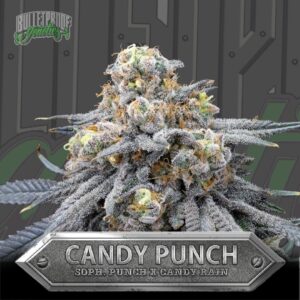 Candy Punch Card