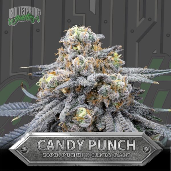 Candy Punch Card