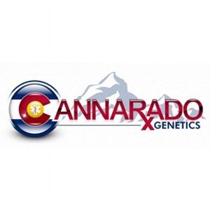 Cannarado Genetics