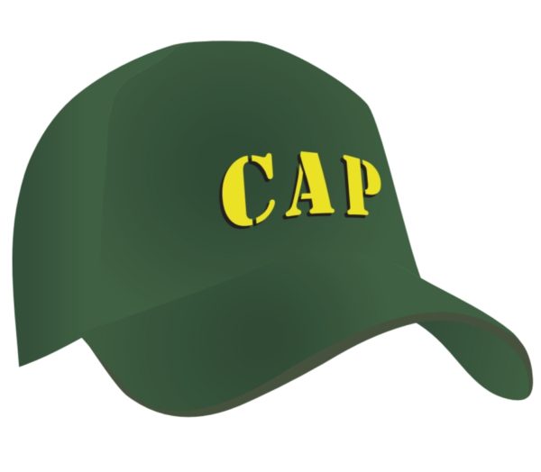 Cap logo 2 1