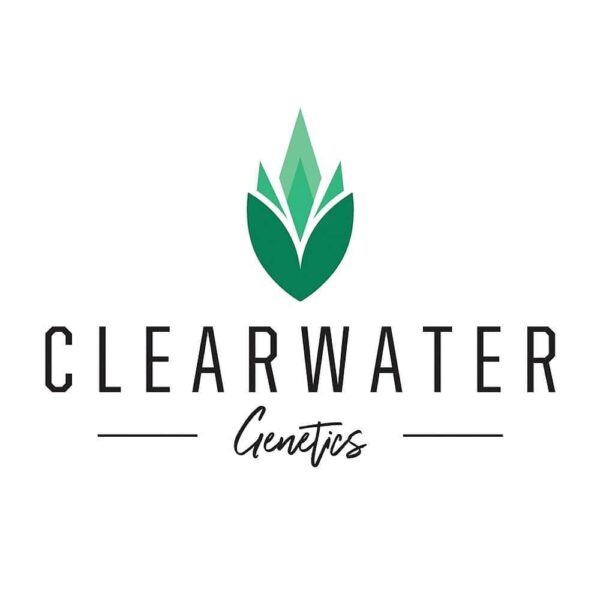 Clearwater 2