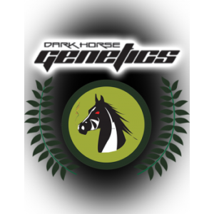 DARK HORSE GENETICS logo 1 300 1