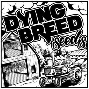 Dying Breed Seeds Logo 300x300 1