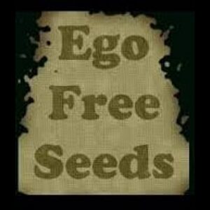 Ego Free Seeds Cannabis Seed Breeder