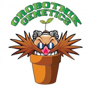 Grobotnik Genetics Logo 300x300 1