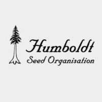 Humboldt Seed Organization Green Crack CBD Green Crack x California Orange CBD e1603387212230
