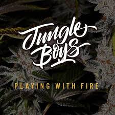 Jungle Boys 1 1