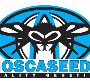 MOsca Seeds logo