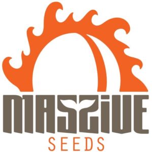 Massive Logo 1