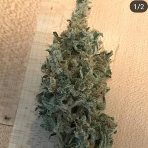 Mota Rebel Citrus Soda