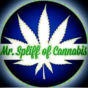 Mr Spliff of Cannabis Logo