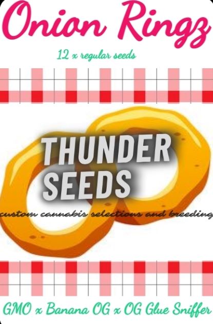 Onion Ringz Art thunder seeds