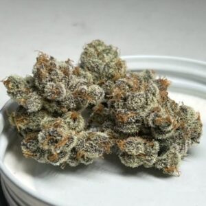 Onion Ringz Buds thunder seeds rotated 1