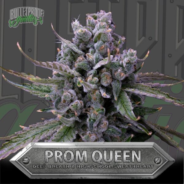 Prom Queen Card