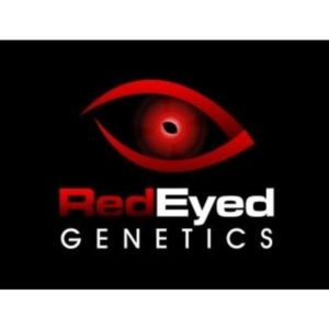 Red Eye Genetics Logo e1598476783353