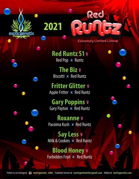 Red Runtz by Exotic 1
