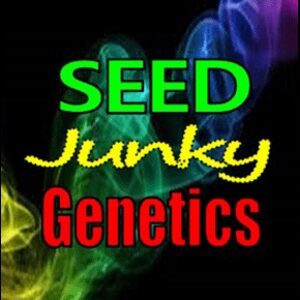 Seed Junky Cannabis Seed Breeder 1