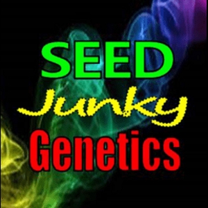 Seed Junky Cannabis Seed Breeder 2