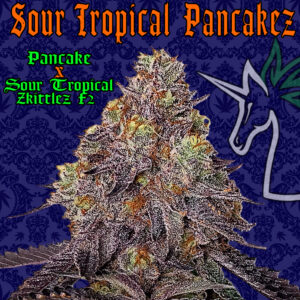 Sour Tropical Pancakez superior