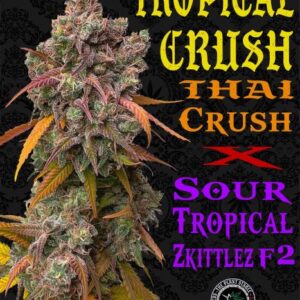 Tropical Crush the plant stable
