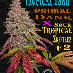 Tropical Dank the plant stable