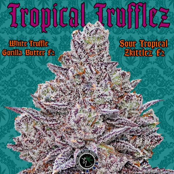 Tropical Trufflez