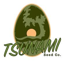 Tsunami Seed Co