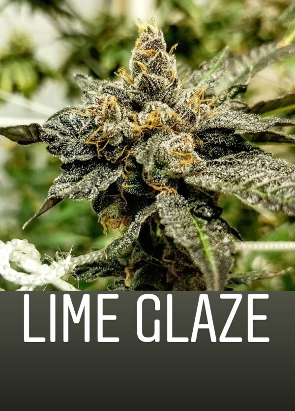 Umami Lime Glaze 1