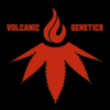 Volcanic Genetics