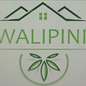 Walipini Seeds