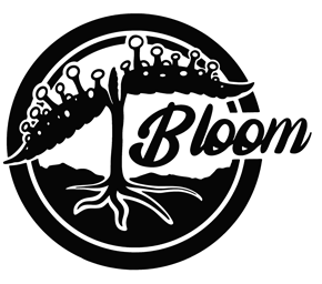 bloom 1