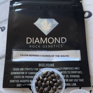 cajun berries x queen of the south