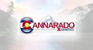 cannarado genetics logo