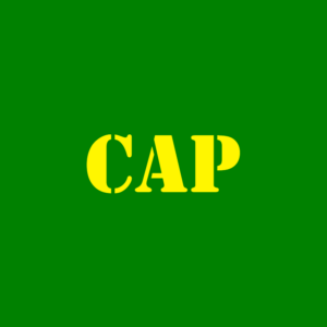 capulator logo 1