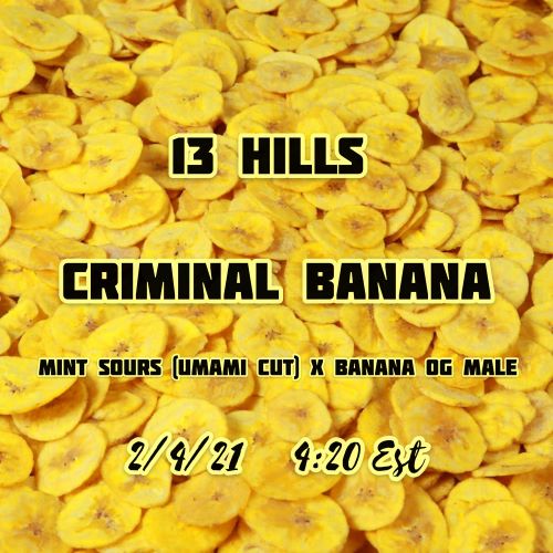 criminal banana 13 hills 1