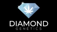 diamond genetics e1602691837732