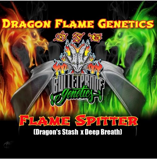flame spitter bullet proof and dragons flame