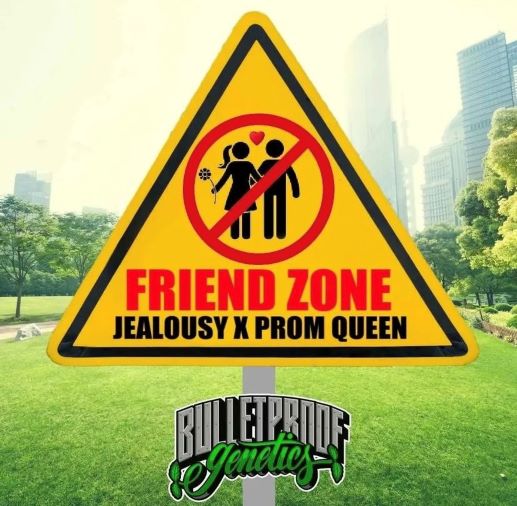 friend zone bullet proof