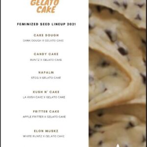 gelato cake coool beans.jpg 1