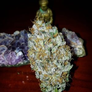 granny slapper1 e1553108649802