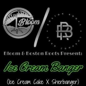 ice cream banger bloom and boston roots
