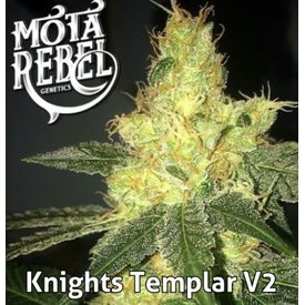 knights templar v2 1