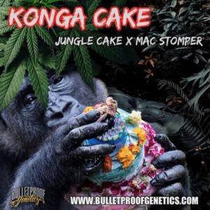 konga cake bulletprof 1