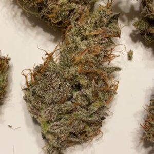 organicx genetics tropicana cherry 11