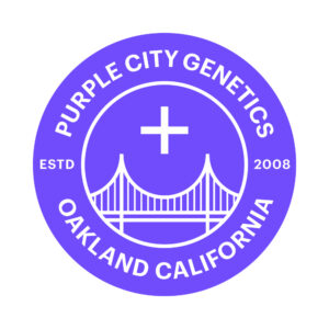 purple city genetics 1