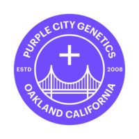 purple city genetics 1 e1601416666808 1 1 1 1