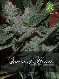 queen of hearts