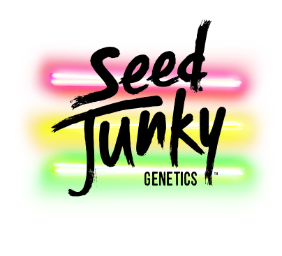 seed junky genetics